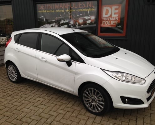 Ford Fiesta blindering ramen 02